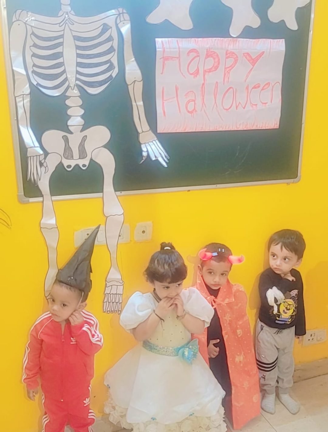 WhatsApp Image 2025-04-29 at 10.57.26 AM (1)